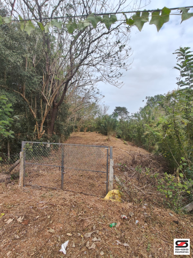 Land for sale in Pampady, Thrissur