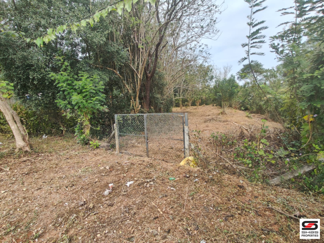 Land for sale in Pampady, Thrissur