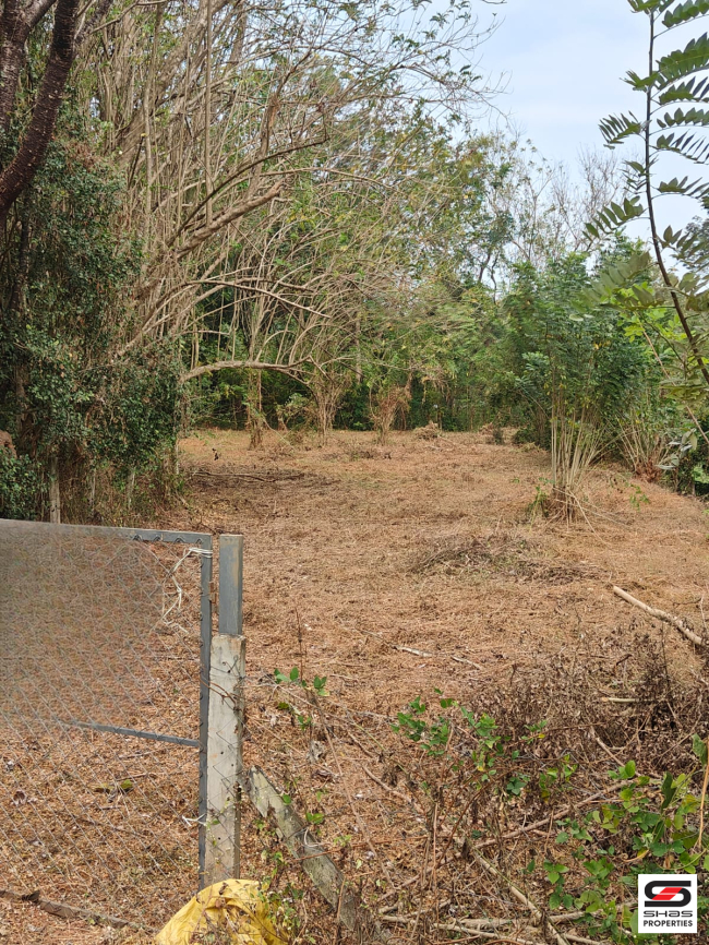 Land for sale in Pampady, Thrissur