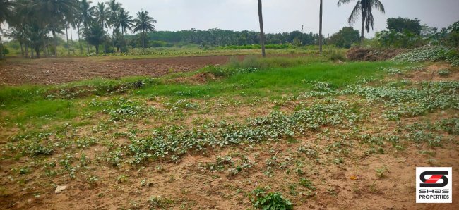 Commercial land for sale in Chettipalayam, Coimbatore