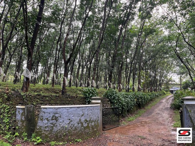 Farmland for sale in Murikkingal, Thrissur