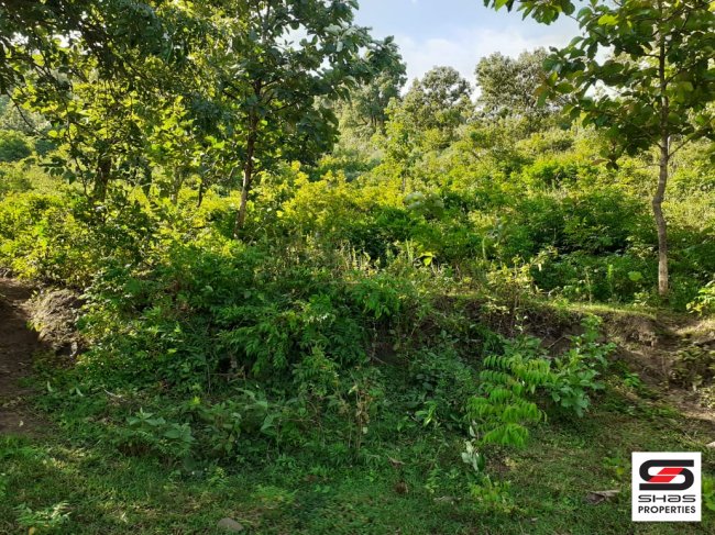 2 Acre land for sale in Attappadi, Palakkad