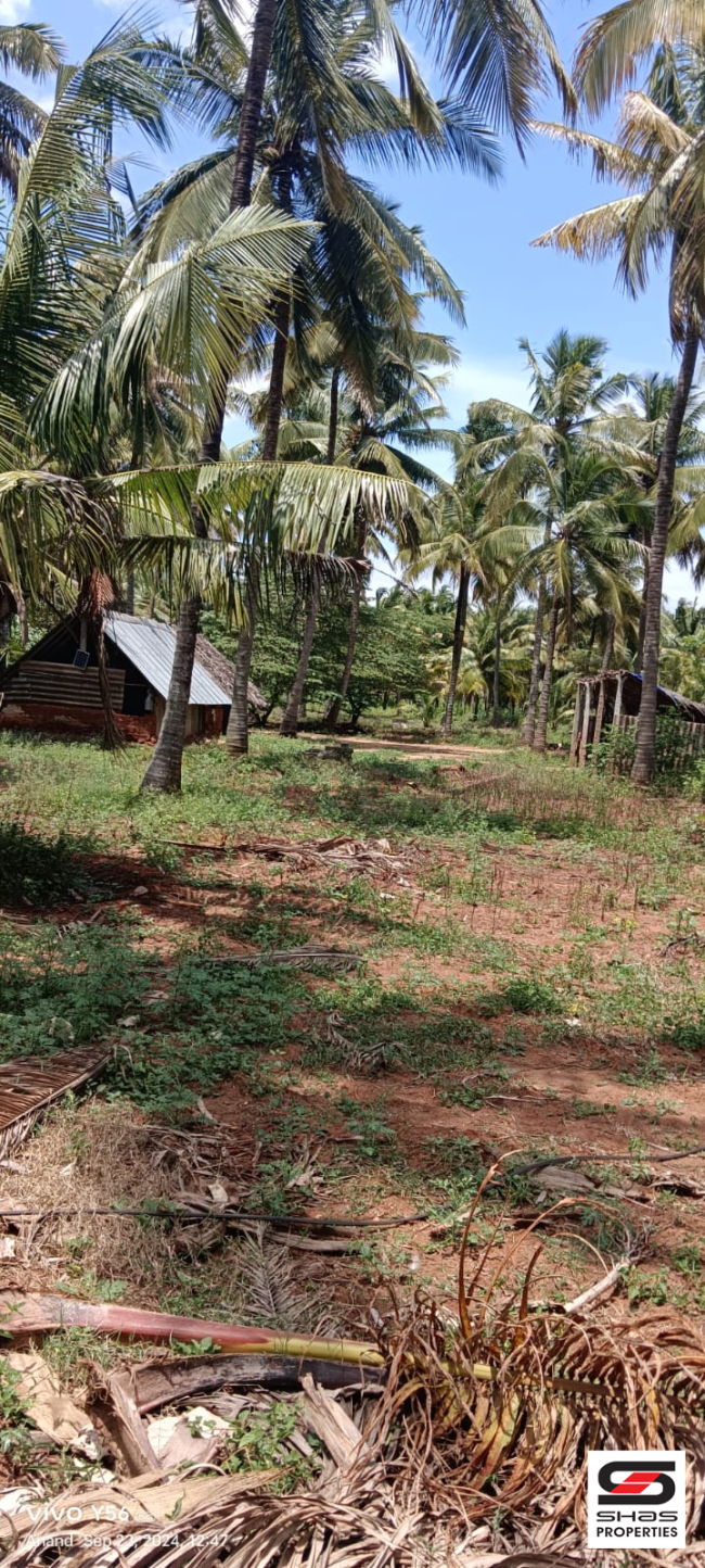 Farmland for sale near Pollachi, Coimbatore 