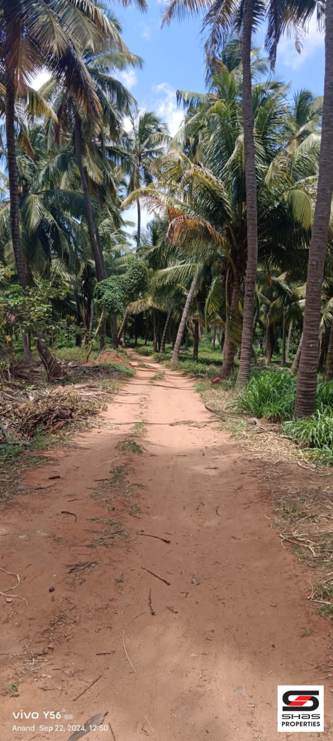 Farmland for sale near Pollachi, Coimbatore 