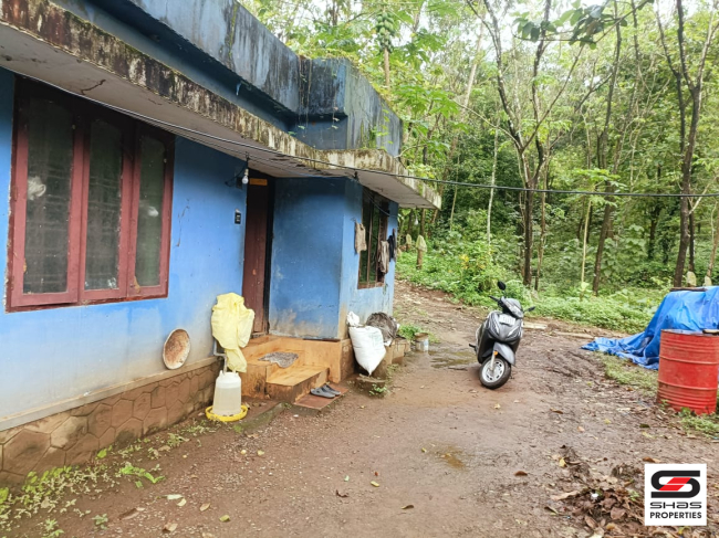 Land with duck farm for sale in Mannamangalam, Thrissur