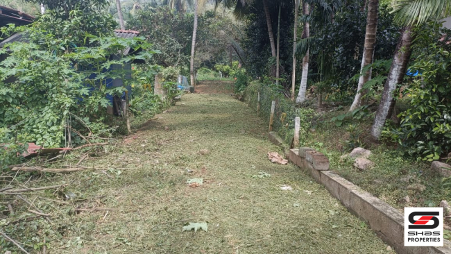 House plot for sale in Nemmara, Palakkad