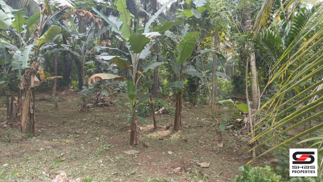 House plot for sale in Nemmara, Palakkad