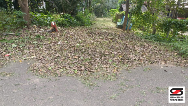 House plot for sale in Nemmara, Palakkad