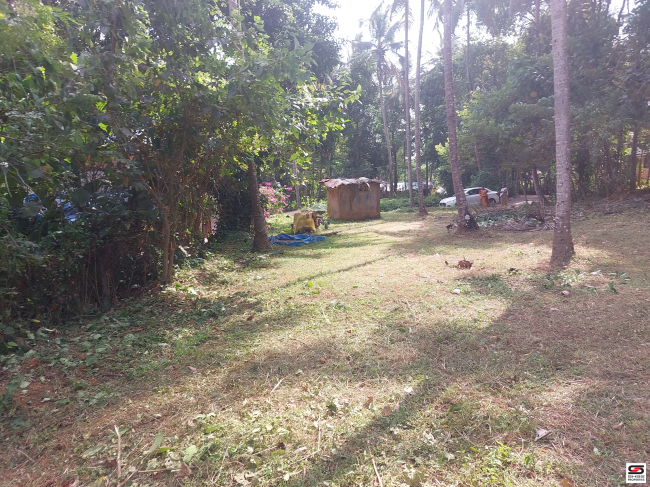 Residential plot for sale in Ottapalam, Palakkad