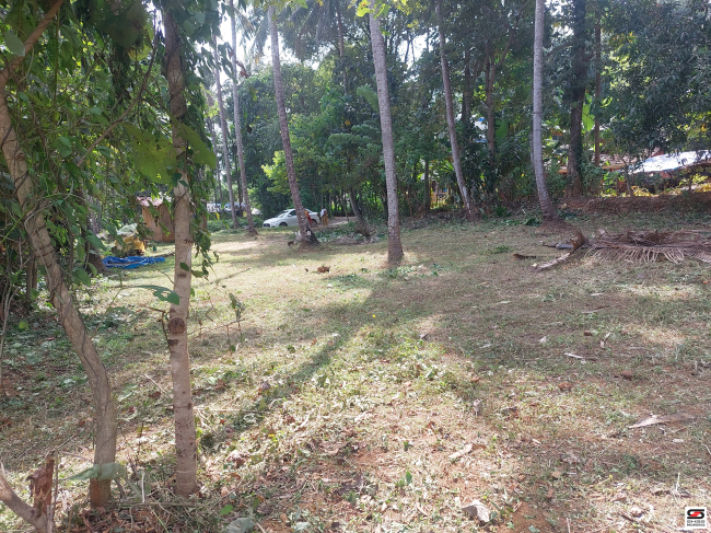 Residential plot for sale in Ottapalam, Palakkad