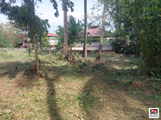 Residential plot for sale in Ottapalam, Palakkad