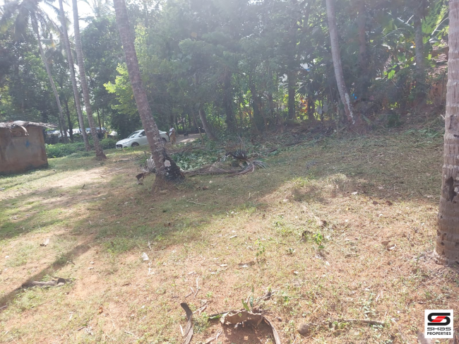 Residential plot for sale in Ottapalam, Palakkad