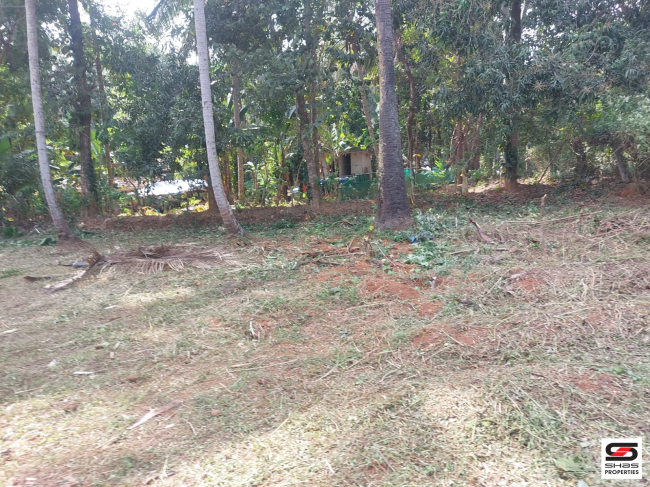 Residential plot for sale in Ottapalam, Palakkad