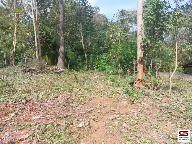 Residential plot for sale in Ottapalam, Palakkad