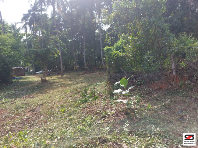 Residential plot for sale in Ottapalam, Palakkad