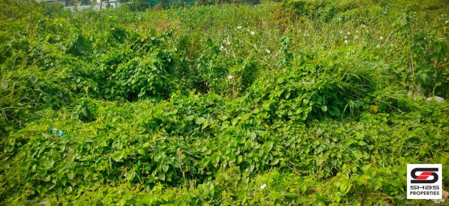 Commercial plot for sale in Calicut Bypass Road, Palakkad