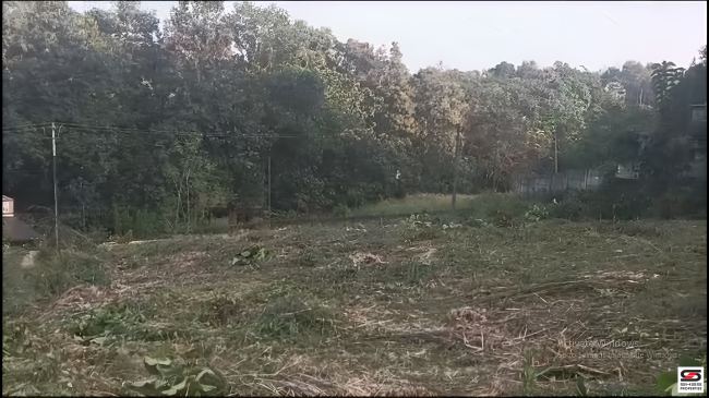 Land with new house for sale in Vadanamkurussi, Palakkad
