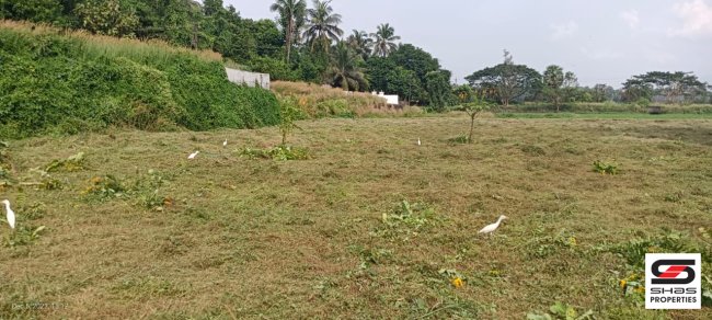 Plots for sale in Vadakkencherry, Palakkad