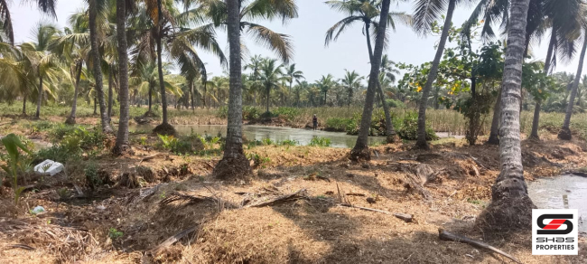 Land for sale near Chavakkad, Thrissur