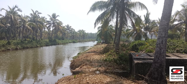 Land for sale near Chavakkad, Thrissur