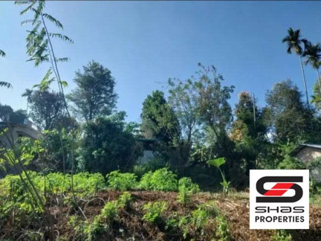 Plot for sale near Mananthavady, Wayanad