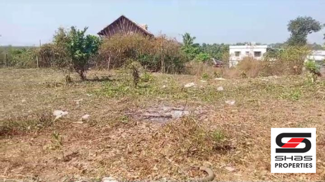 Residential plot for sale in Olavakode, Palakkad