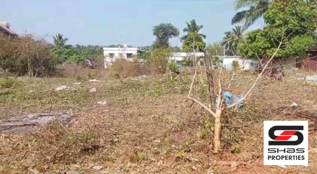 Residential plot for sale in Olavakode, Palakkad