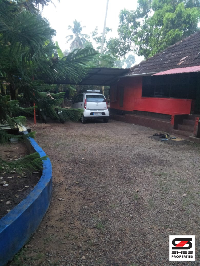 Land with old house for sale in Puliyanam, Ernakulam