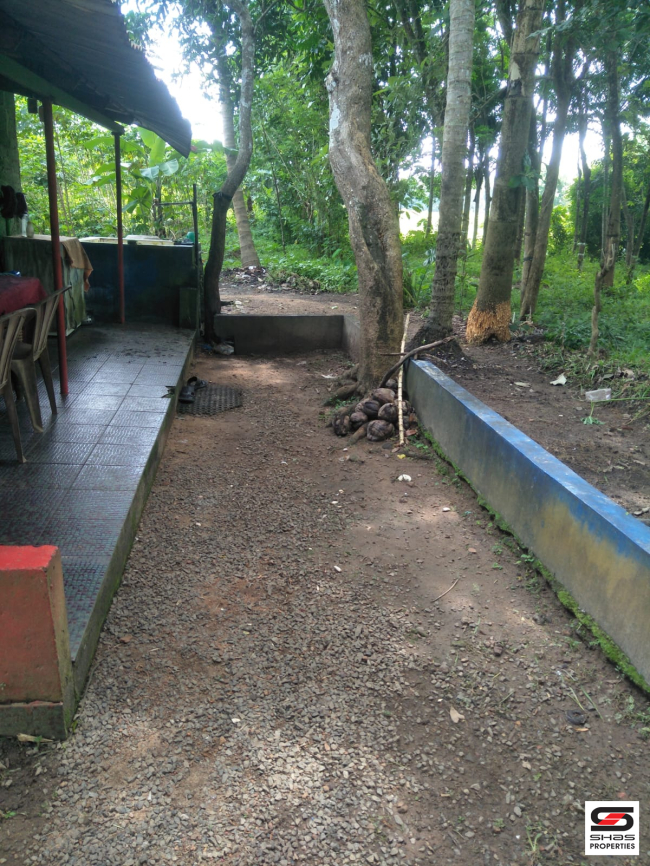 Land with old house for sale in Puliyanam, Ernakulam