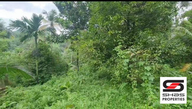 Farmland with house for sale in Palakkayam, Palakkad