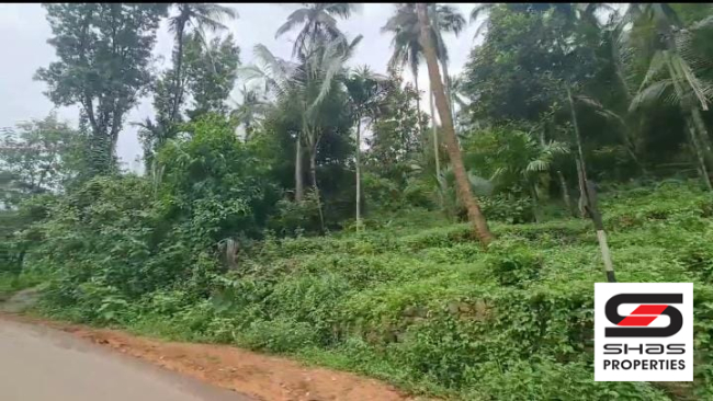 Farmland with house for sale in Palakkayam, Palakkad