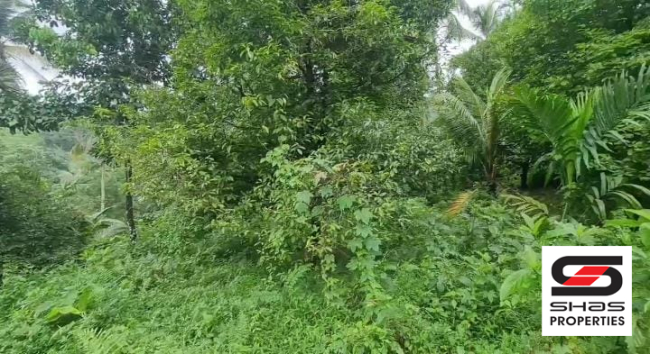 Farmland with house for sale in Palakkayam, Palakkad