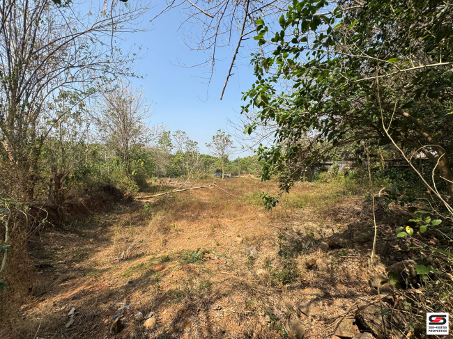 House plot for sale in Palappuram, Palakkad