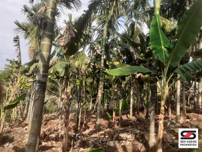 Land for sale in Attappadi, Palakkad