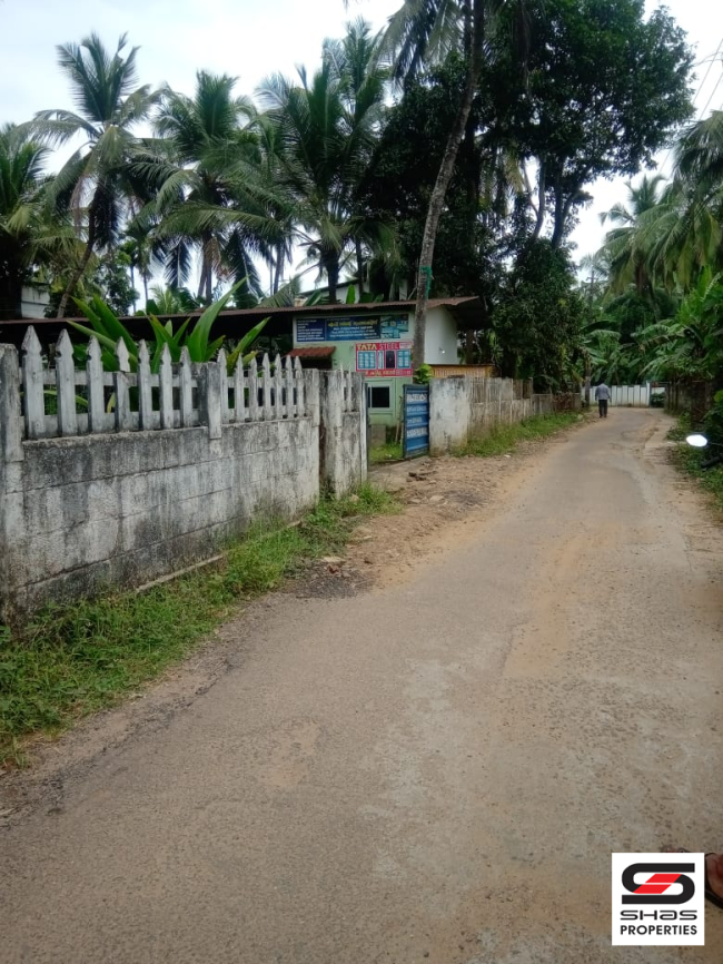 Land for sale in Thiroor, Thrissur