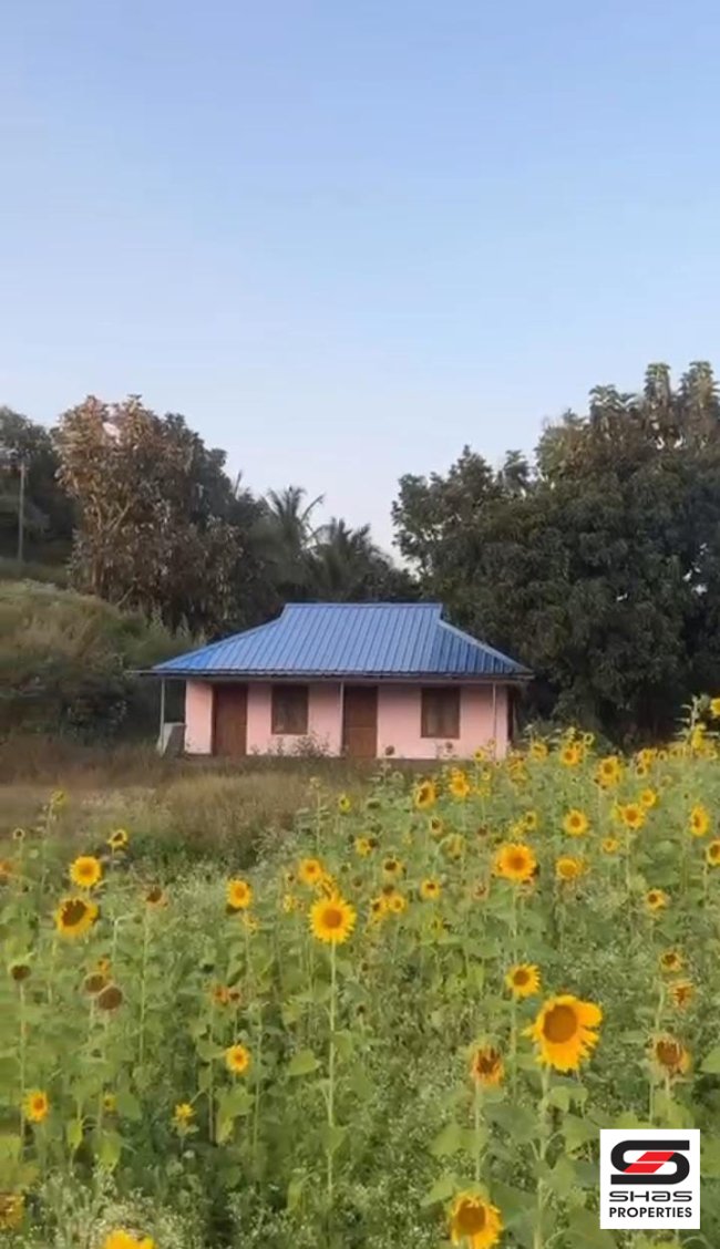 Farmland for sale in Attappadi, Palakkad