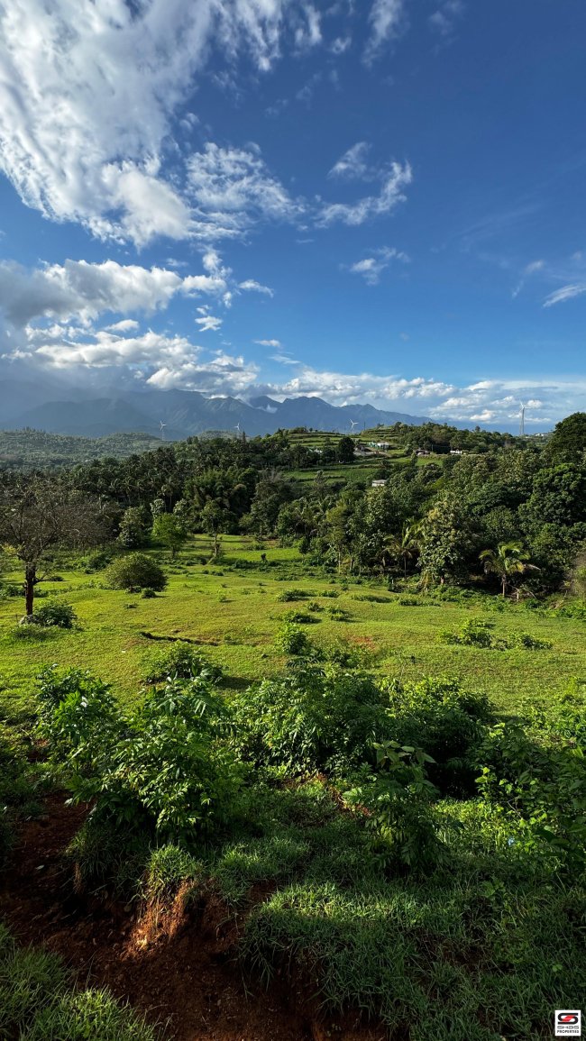 2 Acre plot for sale in Attappadi, Palakkad