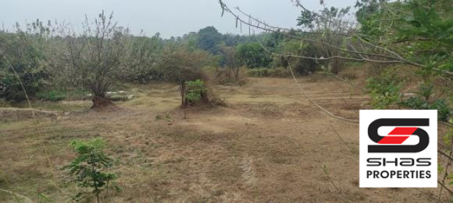 House plot for sale near Kodumbu, Palakkad