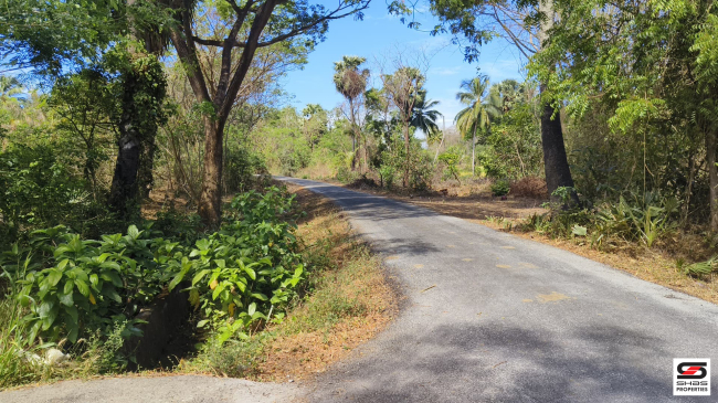 House plot for sale near Kodumbu, Palakkad