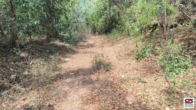 House plot for sale near Kodumbu, Palakkad