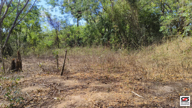 House plot for sale near Kodumbu, Palakkad