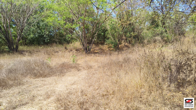House plot for sale near Kodumbu, Palakkad
