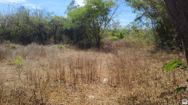 House plot for sale near Kodumbu, Palakkad
