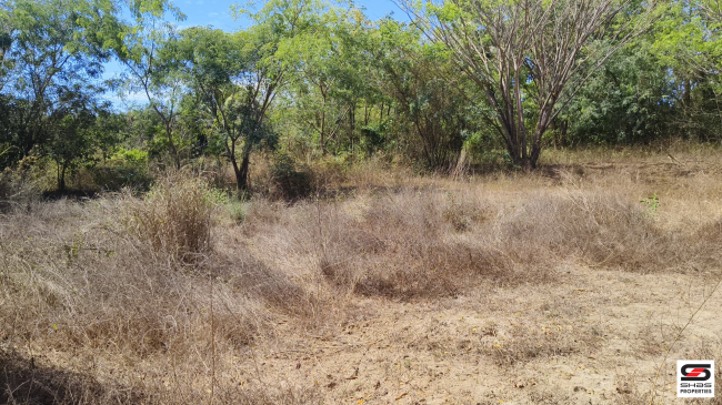 House plot for sale near Kodumbu, Palakkad
