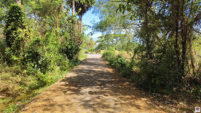 House plot for sale near Kodumbu, Palakkad