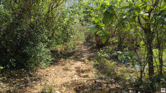 House plot for sale near Kodumbu, Palakkad