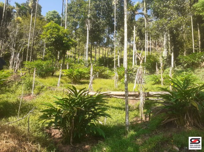 Farmland for sale in Attappadi, Palakkad