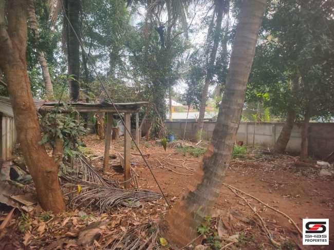 House plot for sale in Chittur, Palakkad