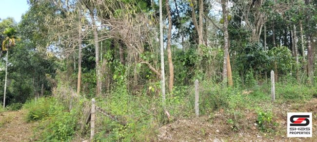 Residential plot for sale in Kalpetta, Wayanad