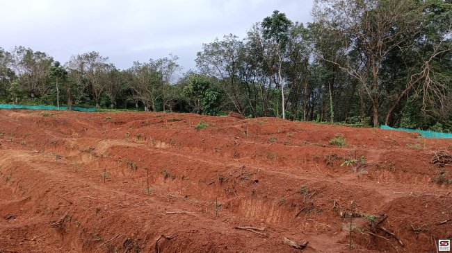 House plot for sale near Kongad, Palakkad